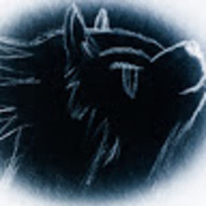 Meet your Posher, Luke